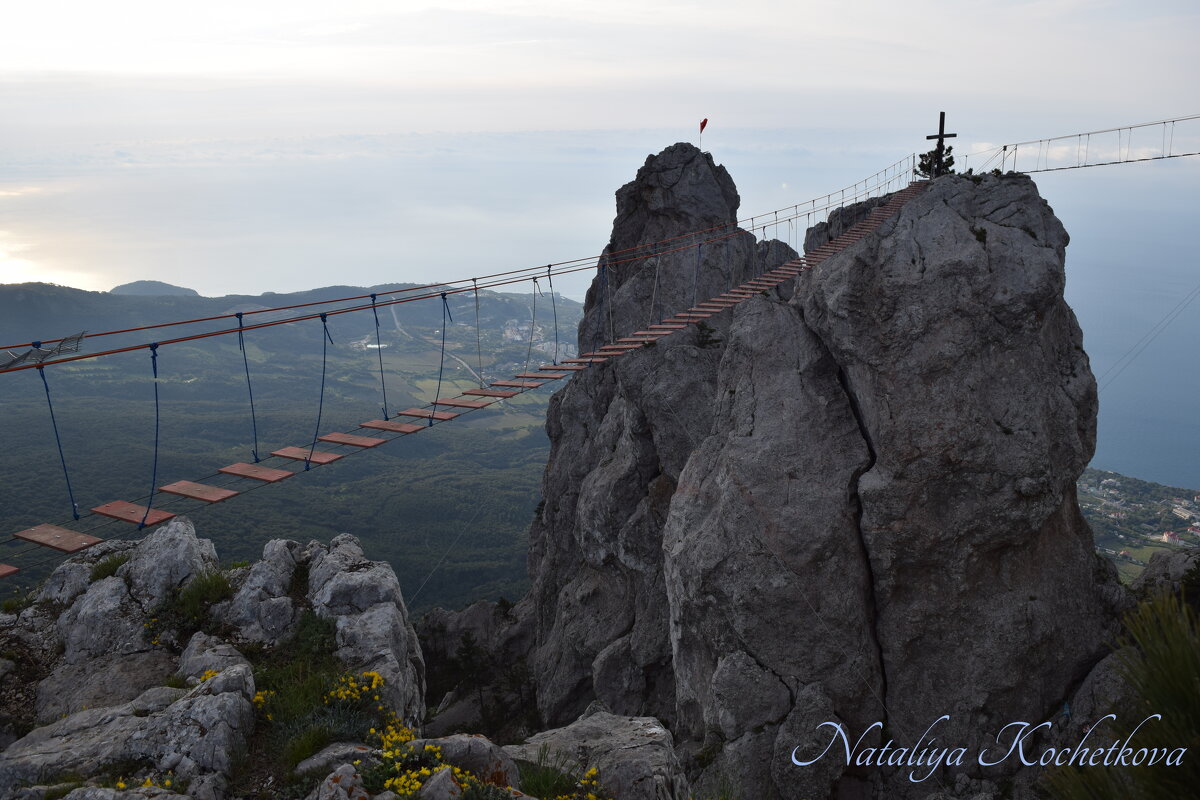 Природа Крыма - Amazing Cosmea