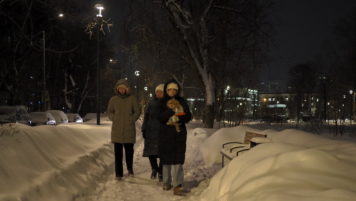 По Зимнему Парку - юрий поляков По Зимнему Парку - юрий поляков