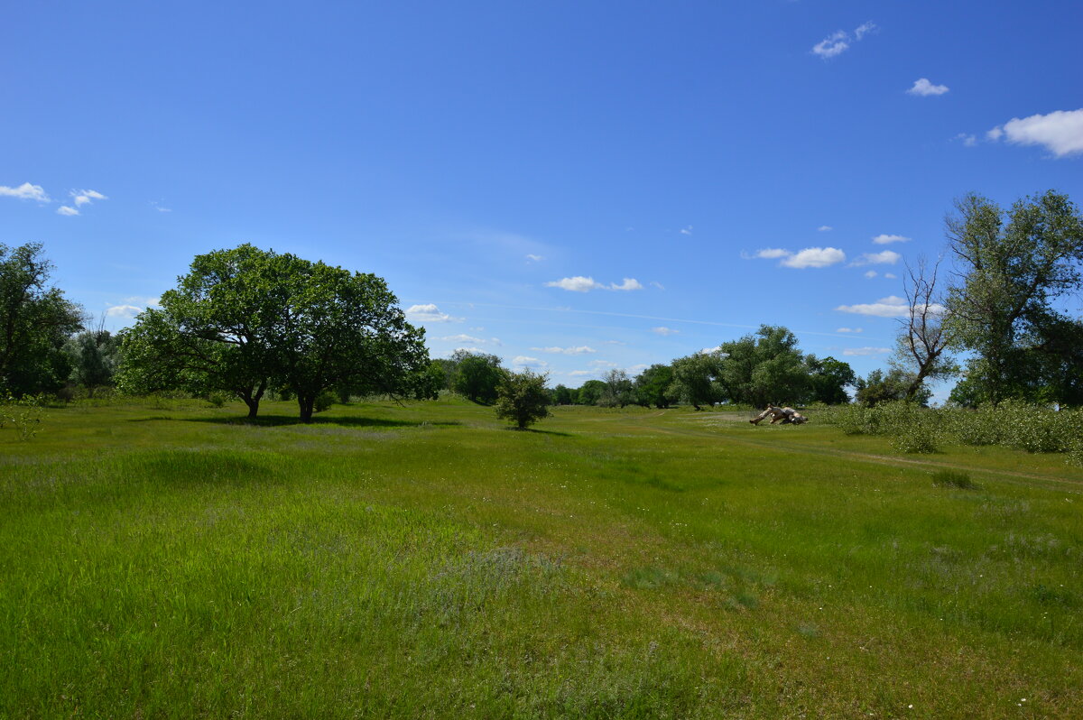 :::**** - Виктор 