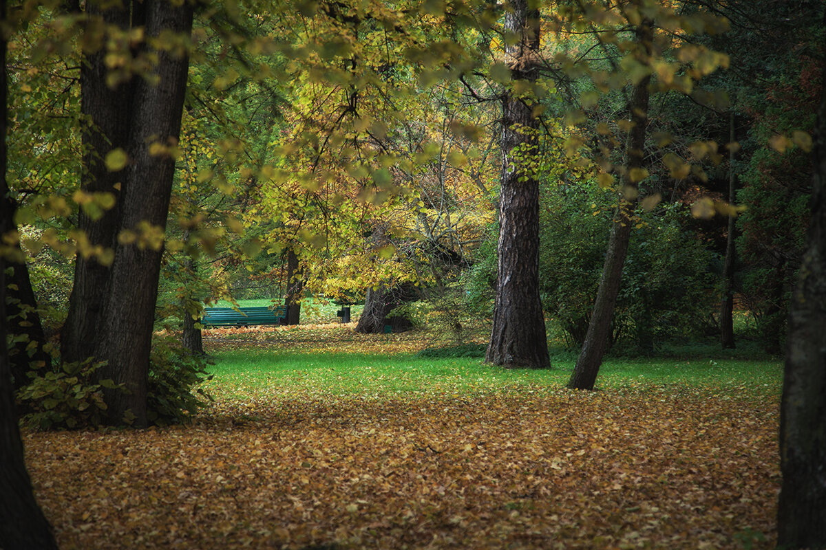 Осенний пейзаж. - Лилия * Осенний пейзаж. - Лилия *