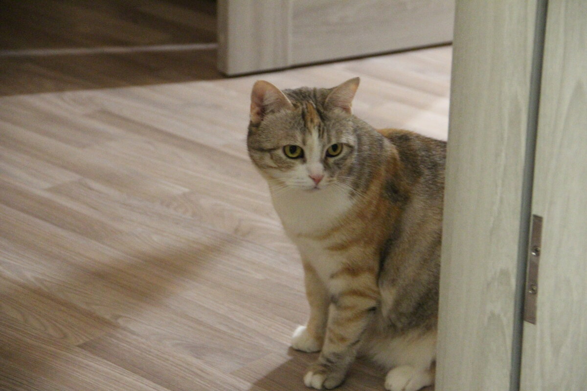 На ночь глядя.. - Екатерина Леш