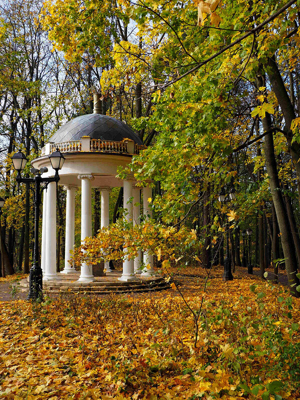 В парке осень - VikArt 