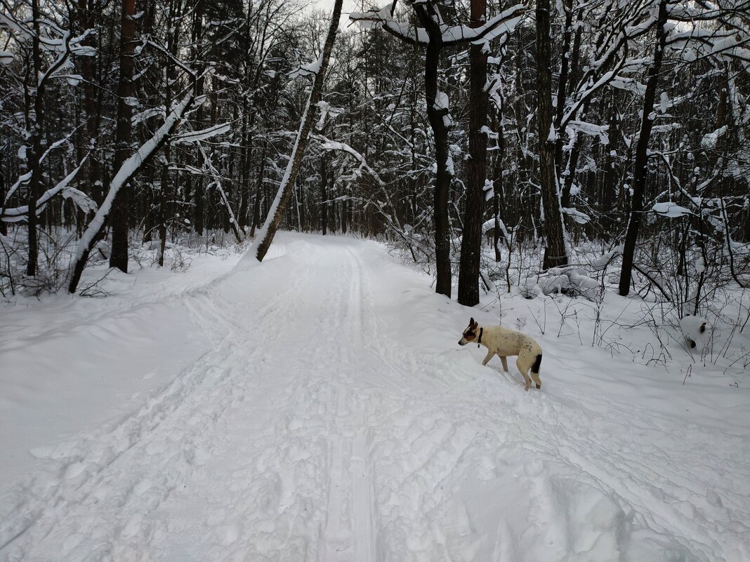 Вот так и живем - Андрей Лукьянов