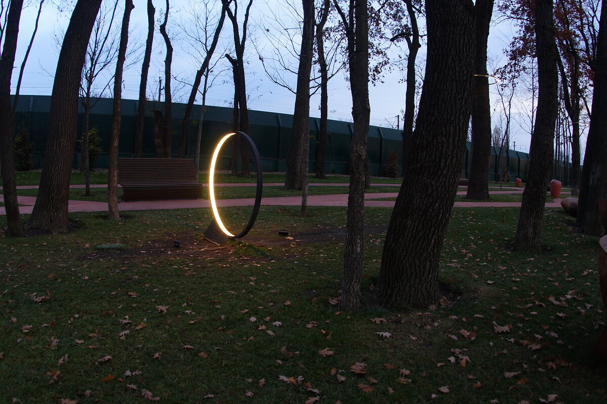 В парке Галицкого ночью... - Николай Саржанов