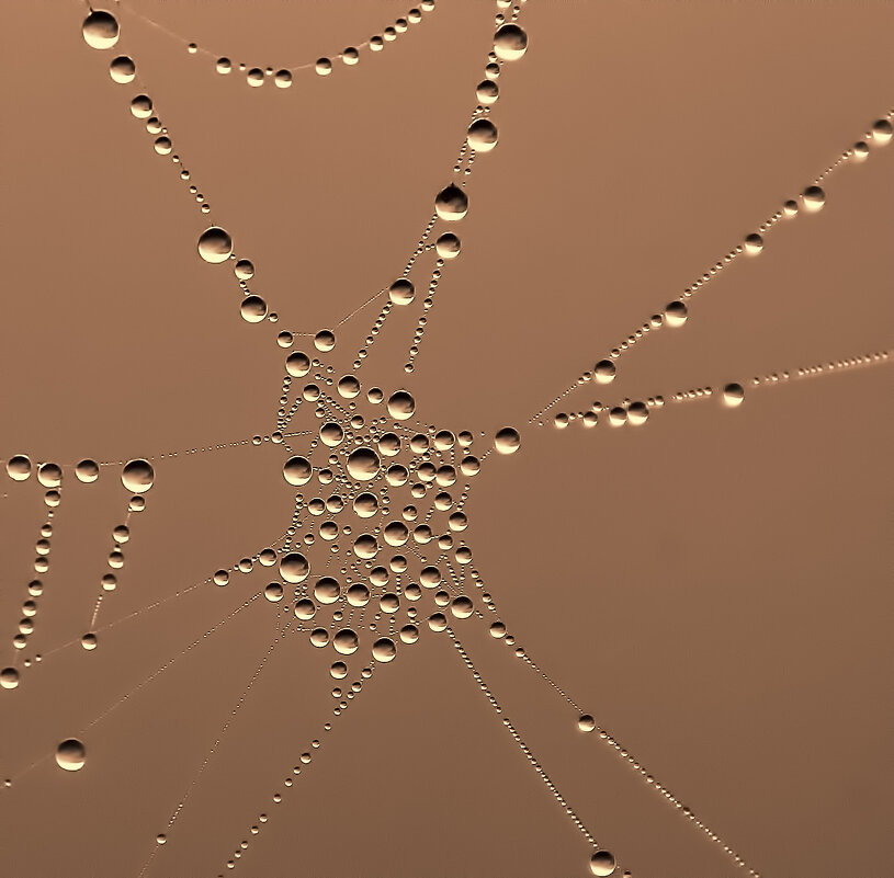 ****** - Андроник Александр 