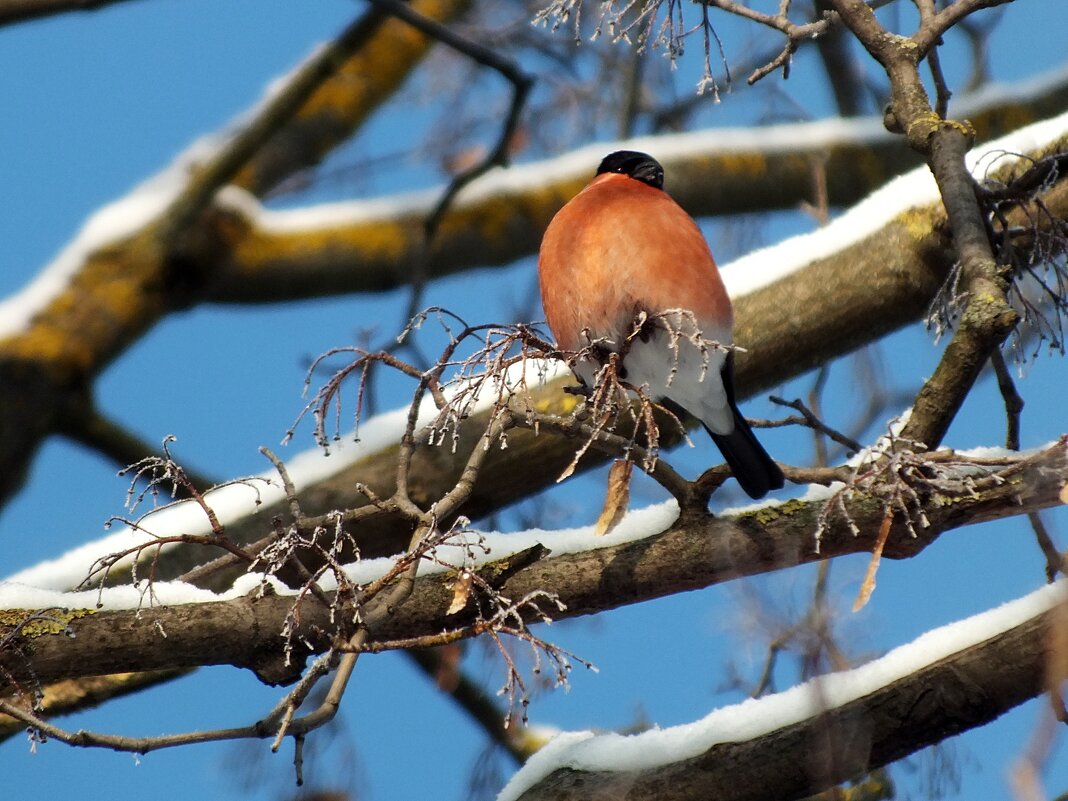 ** - Зоя Мишина