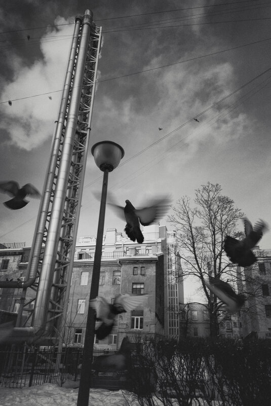 * - Светлана Воробьева