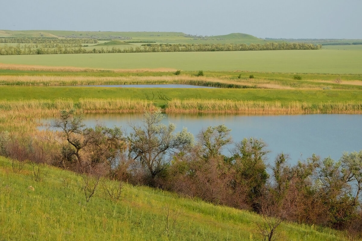 Природная геометрия.... - Надежда Куркина 