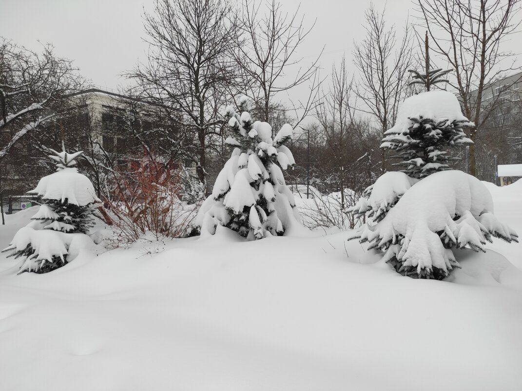 Причудливые формы - Игорь Ч.