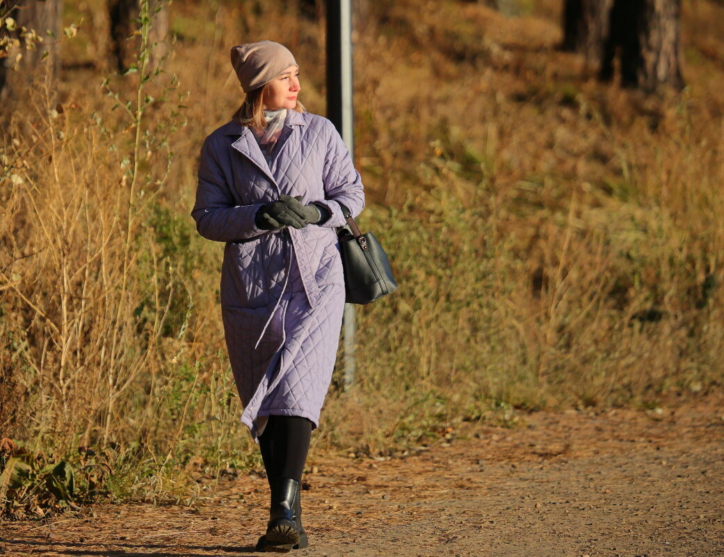 Незнакомка... - Владилен Панченко