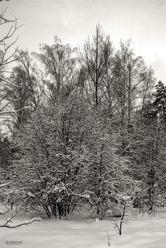 Зима, зима - Александр 