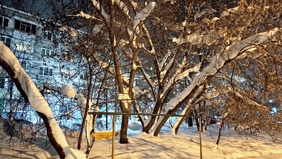 Снег на  деревьях - Татьяна Тюменка