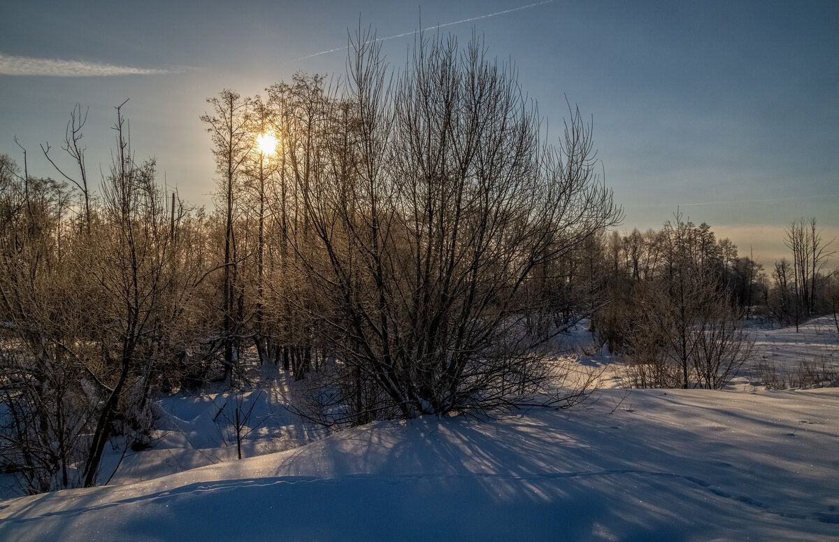 Мороз и Солнце 3 - Андрей Дворников