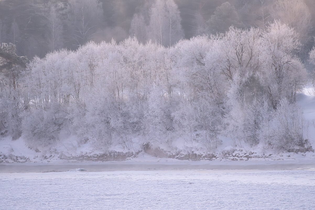 Мороз... - Виктор Желенговский