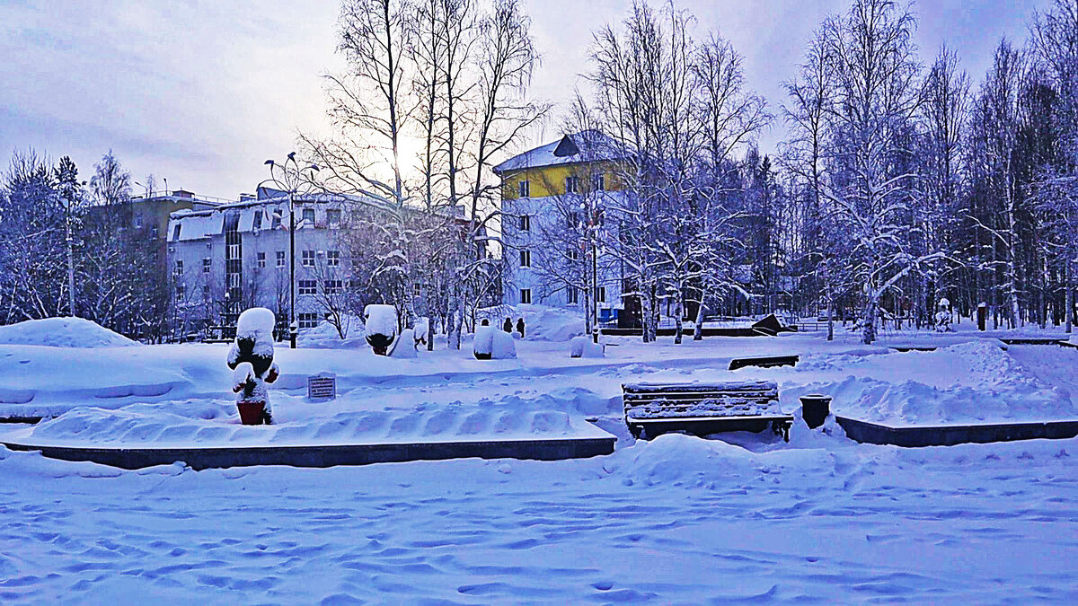 Зимний полдень  в сквере Победы! - Владимир 