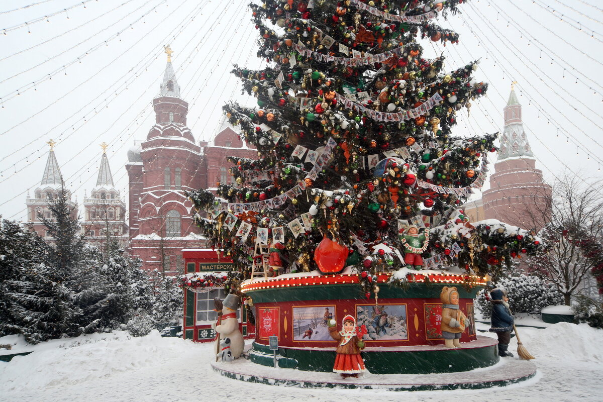 28 января Манежка - Михаил Бибичков