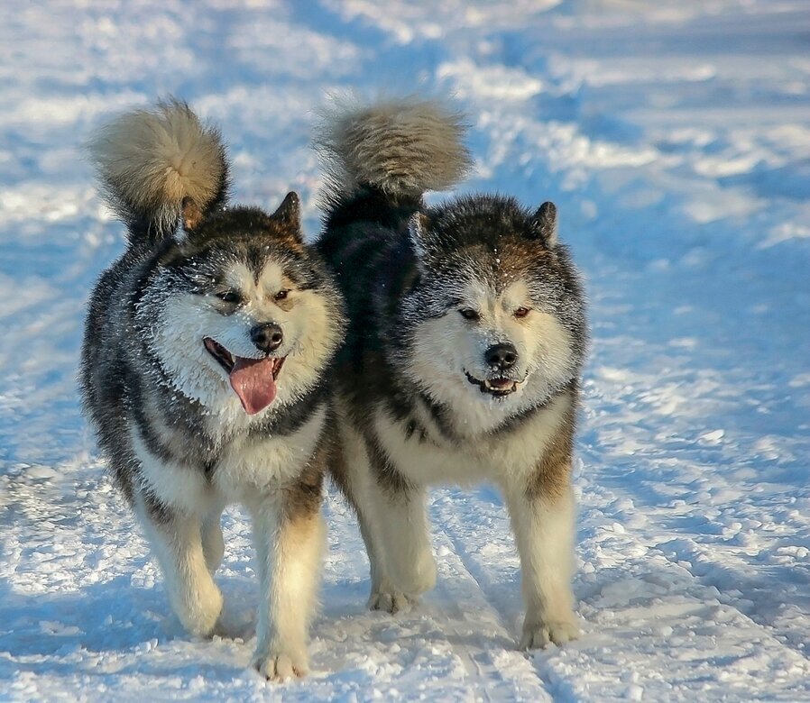 На прогулке - елена беликова