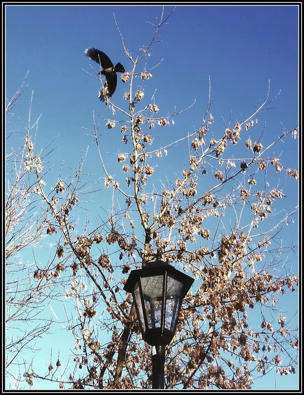 Городские зарисовки - Ольга Довженко