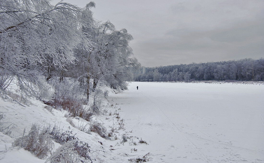 50 оттенков серого... - Ирина С