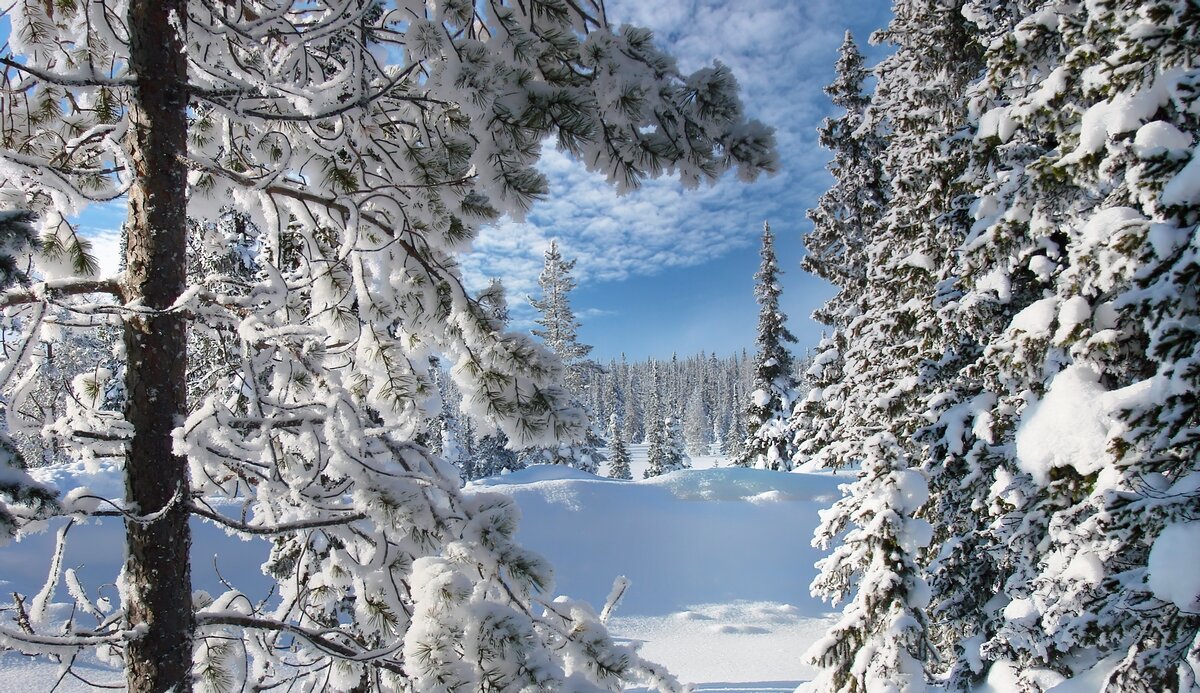 Зимние зарисовки .... - Ravile 