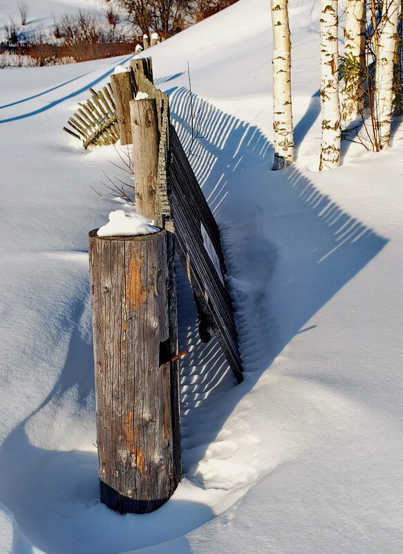 ... - Анастасия Смирнова