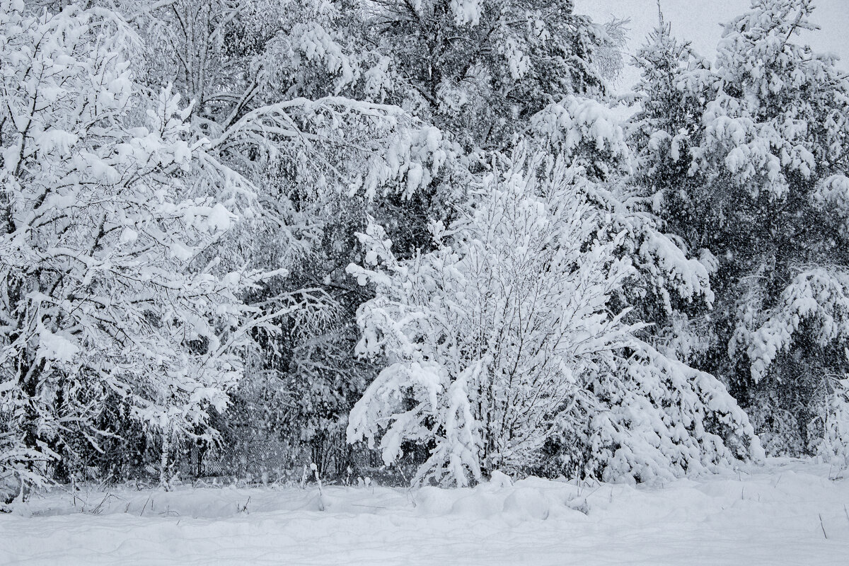 Зима - Татьяна Семенова
