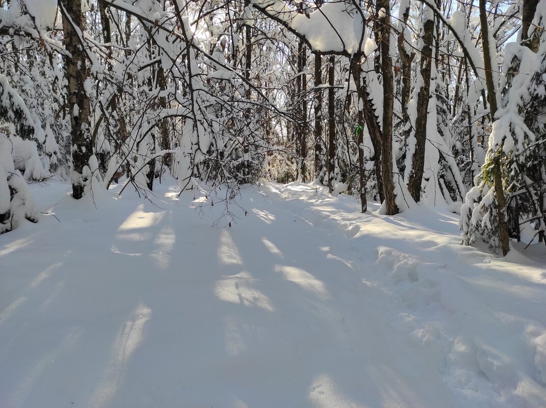 Прозрачный свет - Игорь Ч.