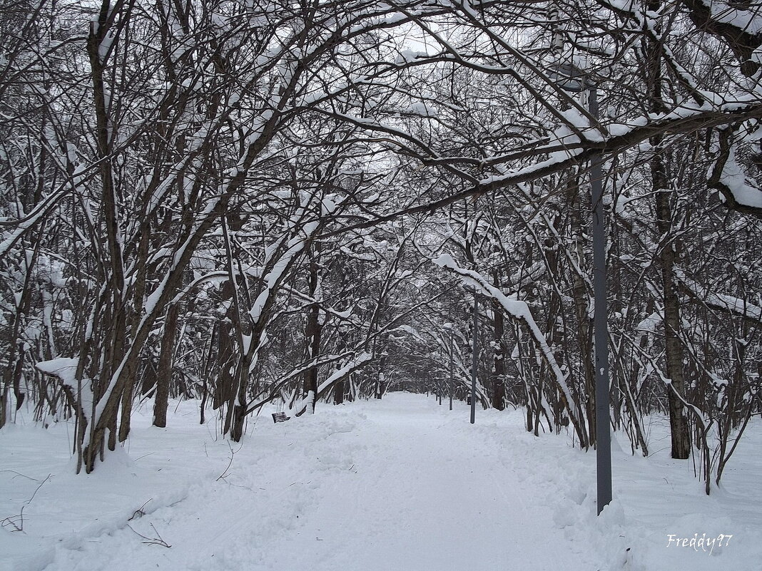 По аллее парка... - Freddy 97