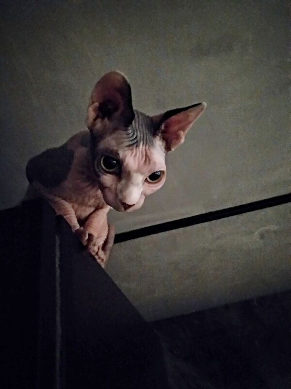 *** - Сергей Полянский