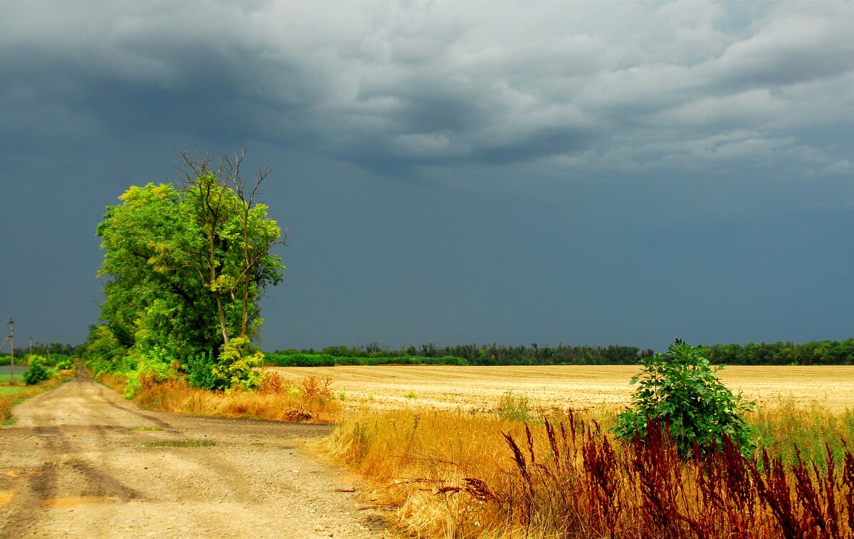 Перед грозой. - Владимир 