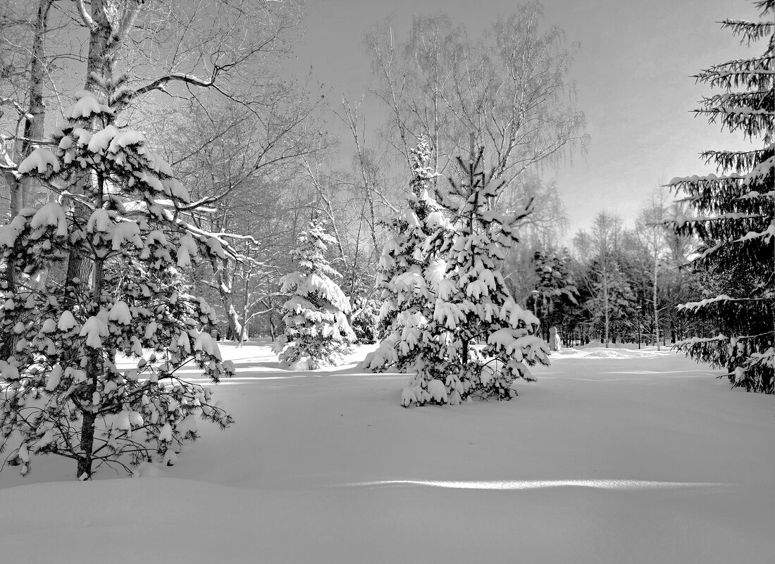 . - РИТА ЛЕВКОВА