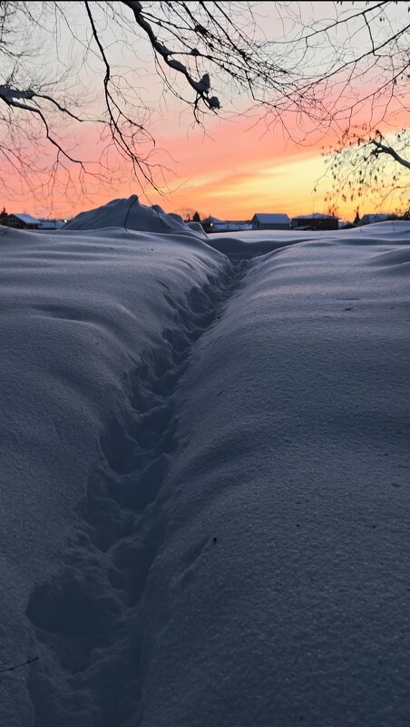 По сугробам к закату - Наталия 