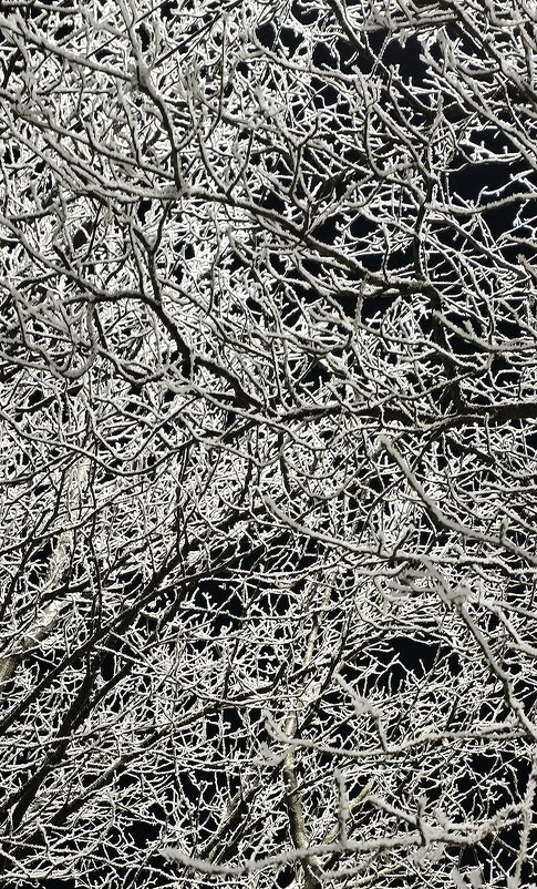 Мороз и иней - Михаил Свиденцов