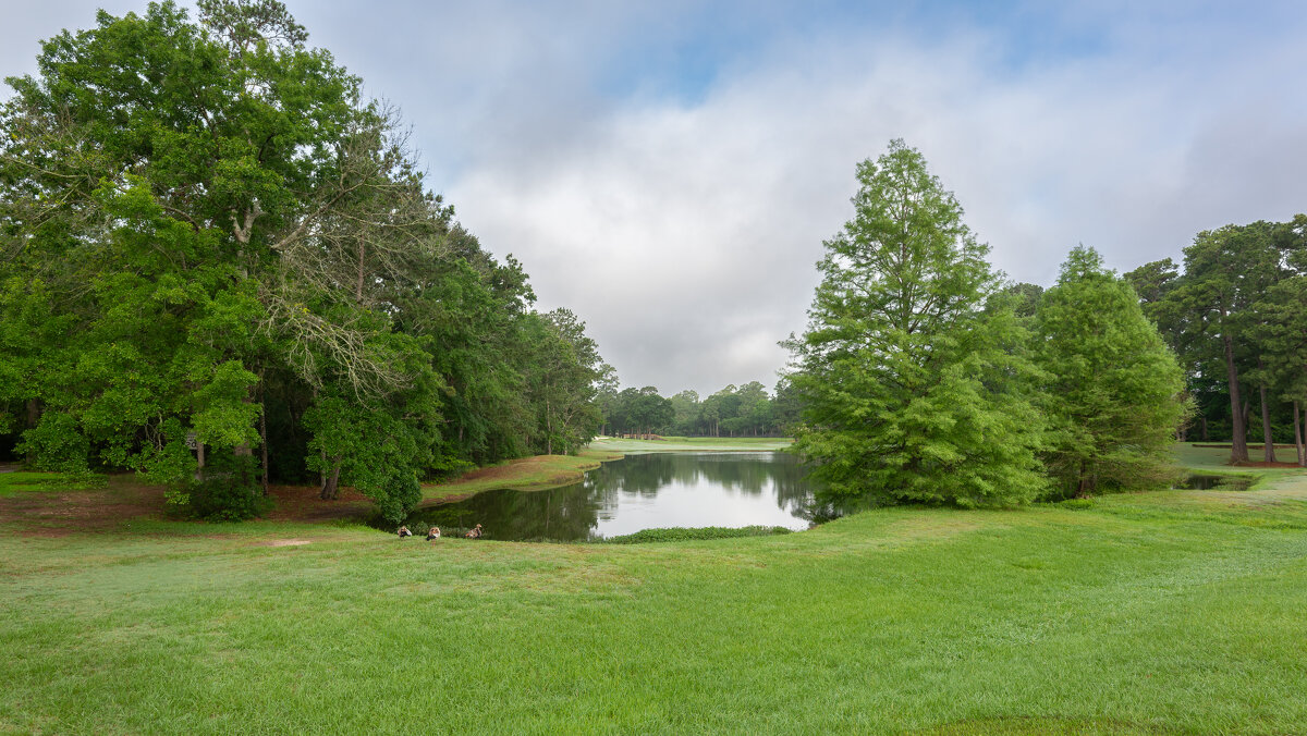 Идиллия - **** vedin