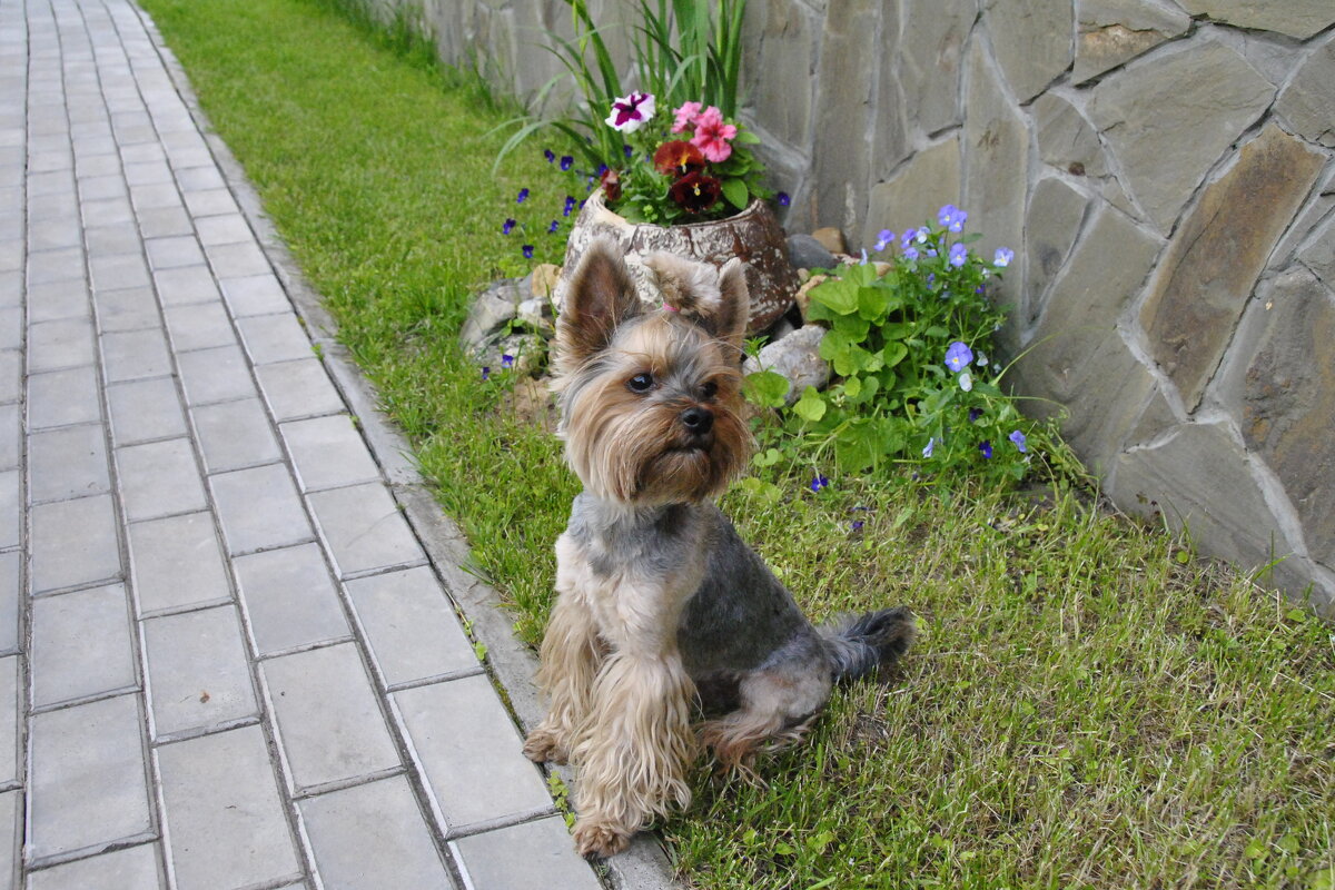 Мой милашка - Марина Виноградова