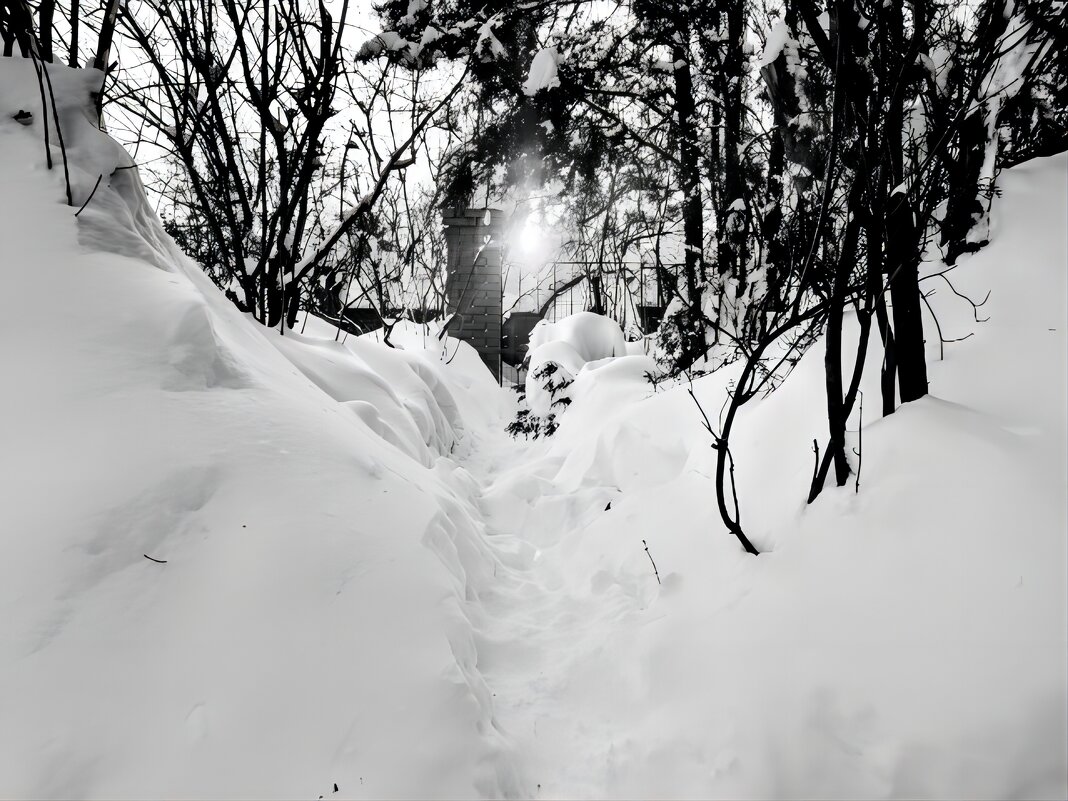 После снегопада. - Михаил Столяров