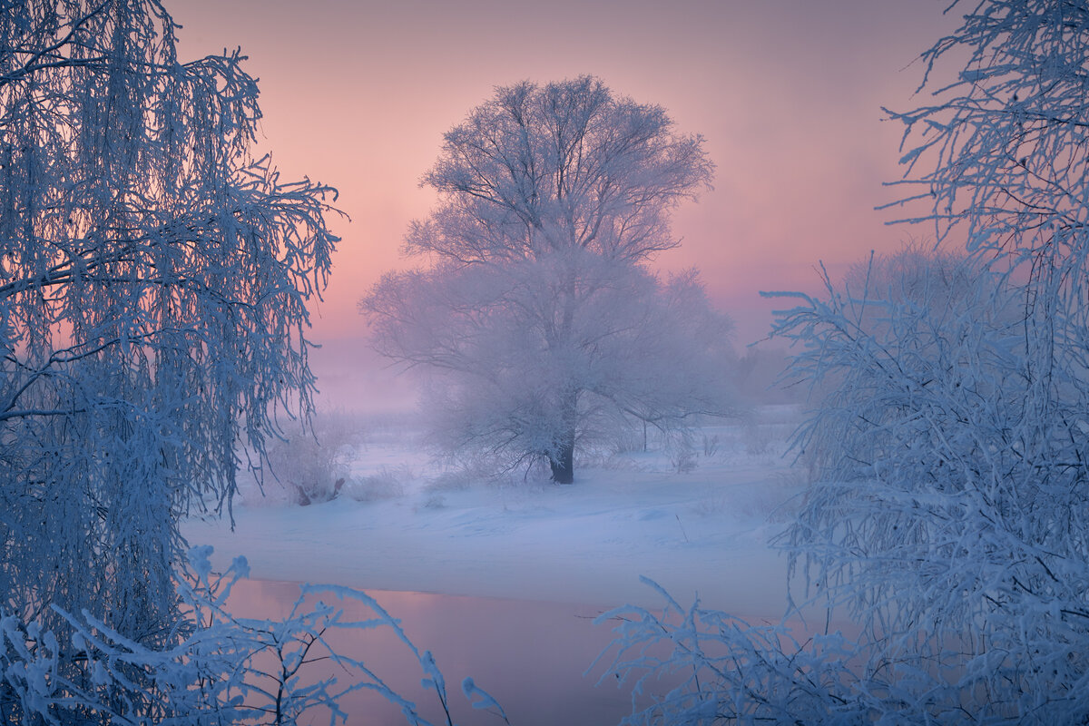 На"подмостках"январского вечера (Татьянин день)  ... - Roman Lunin