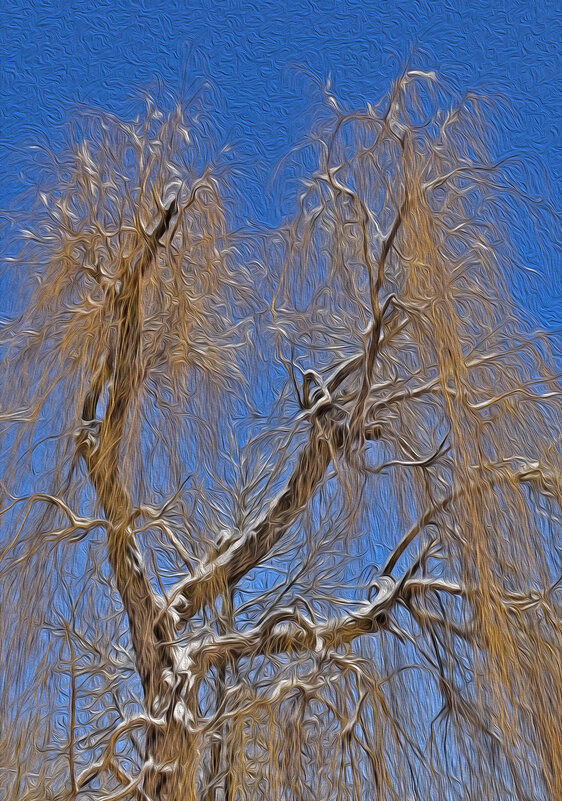 Ивушка... - Валентина Нефёдова Ивушка... - Валентина Нефёдова