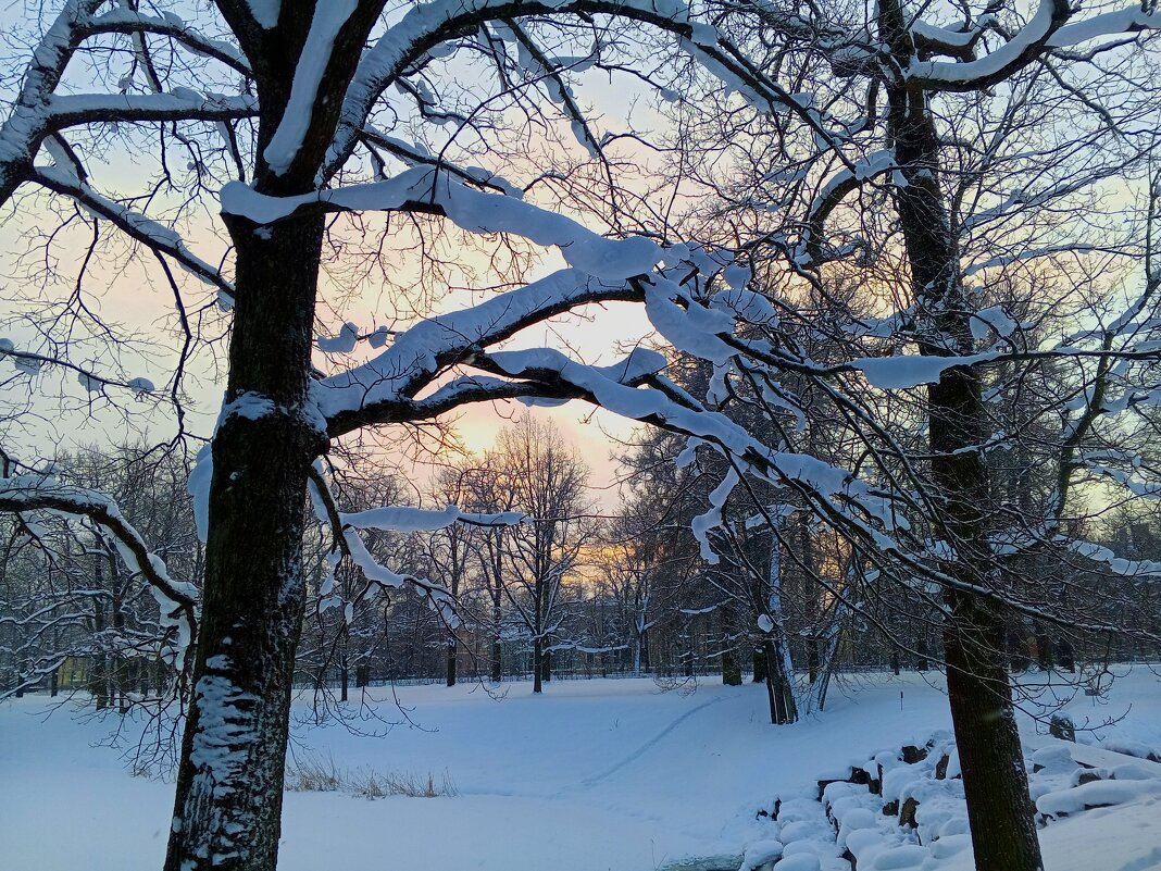 Рассвет - Сапсан 