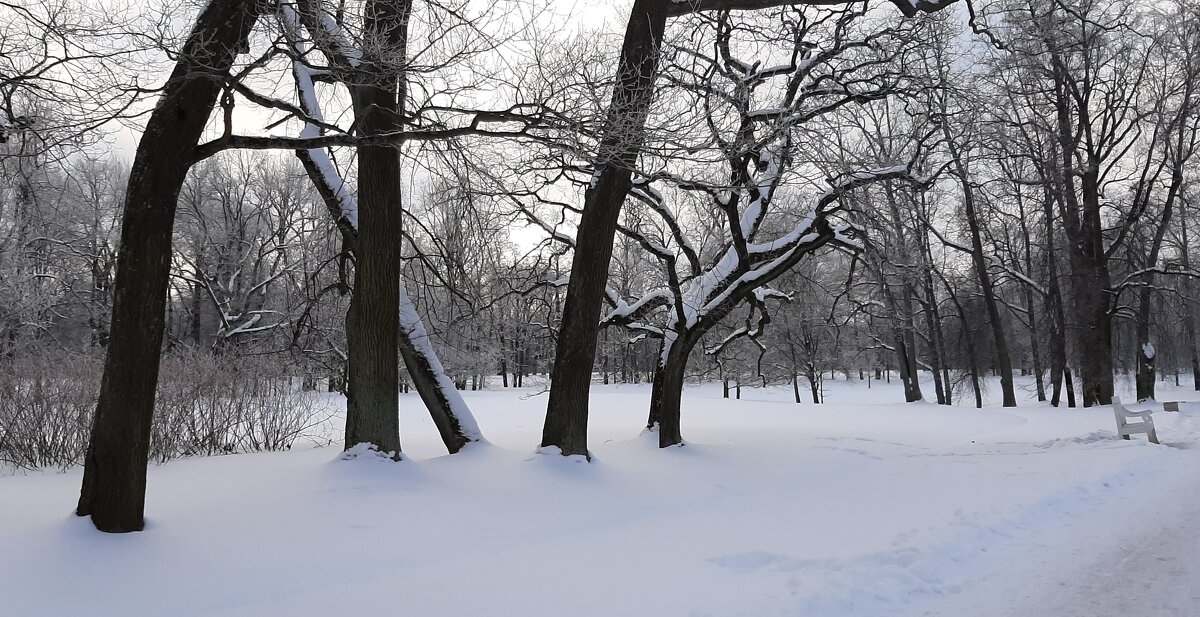 Петергоф. Парк Александрия - Наталья Герасимова Петергоф. Парк Александрия - Наталья Герасимова