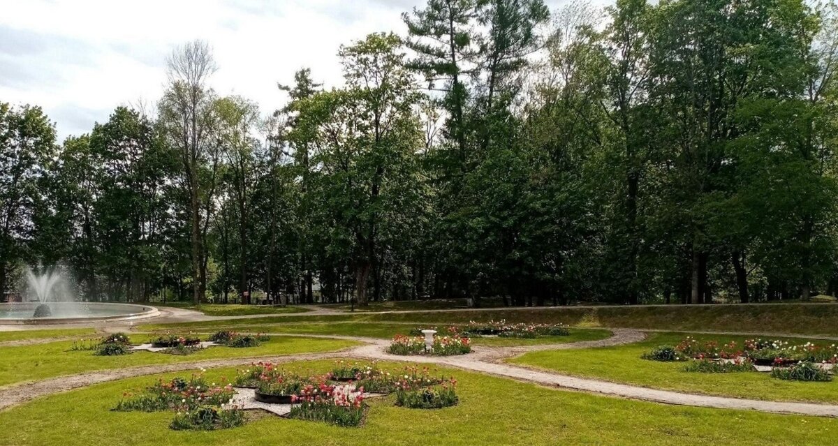 Романовский парк - Елена Сухорученкова