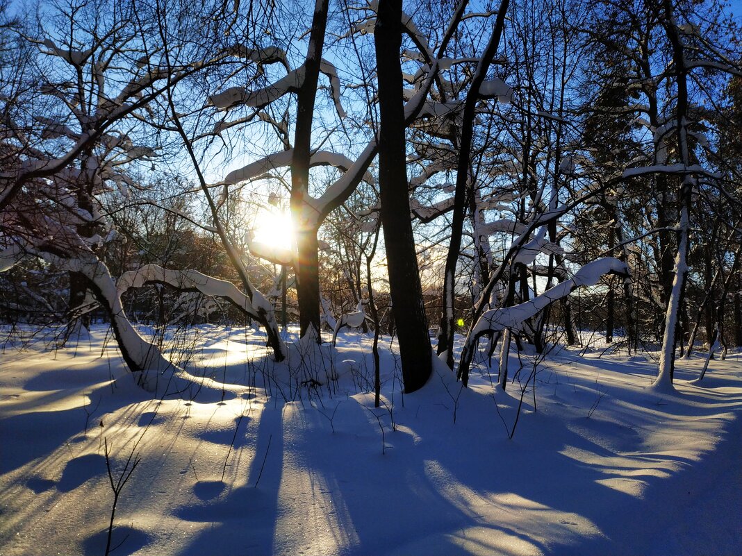 Ну вот и настоящая зима - Андрей Лукьянов Ну вот и настоящая зима - Андрей Лукьянов