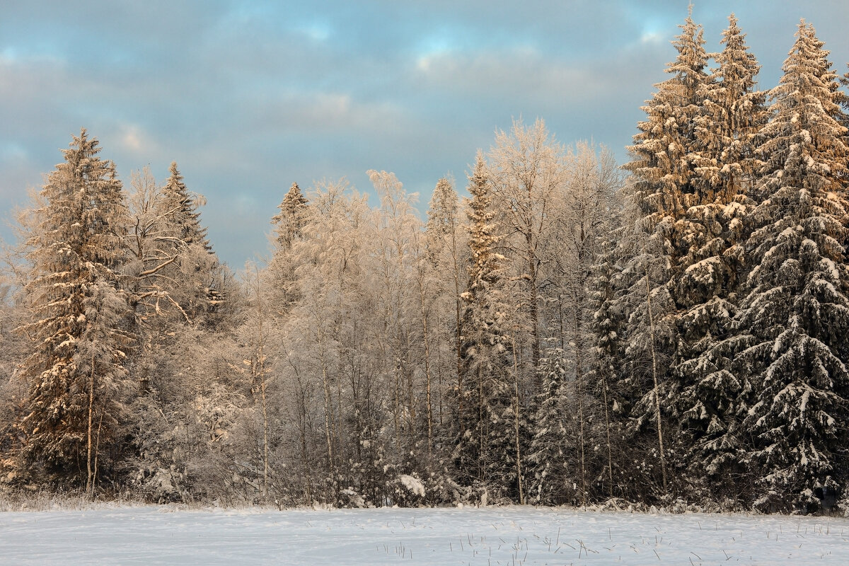 Вартемяги - skijumper Иванов Вартемяги - skijumper Иванов