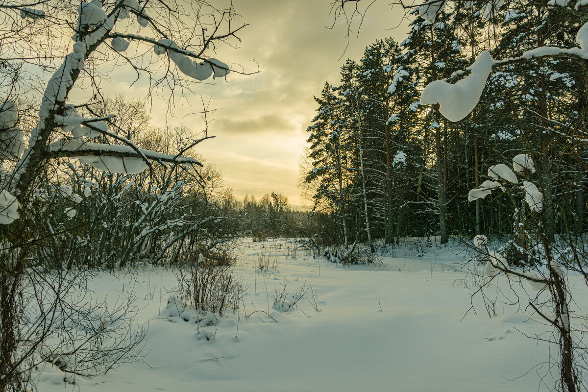 Тропою света.... - Александр Филатов