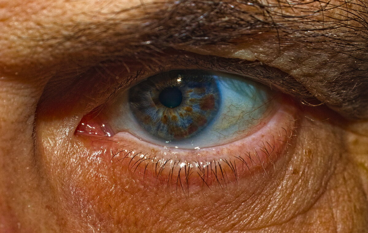 I can see you.3 - Giant Tao / I can see you.3 - Giant Tao /