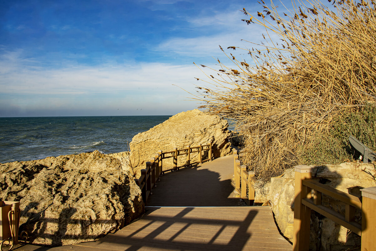 Тень - Анатолий Чикчирный