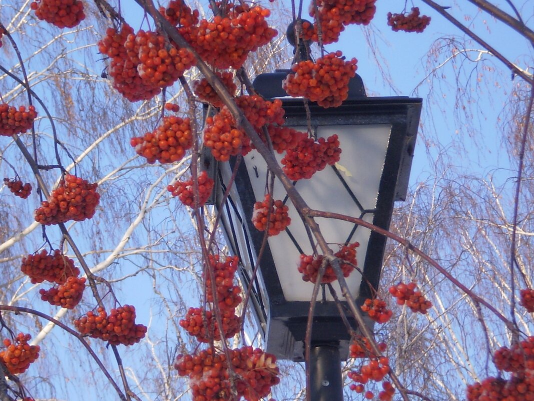 Зима - Венера Чуйкова Зима - Венера Чуйкова