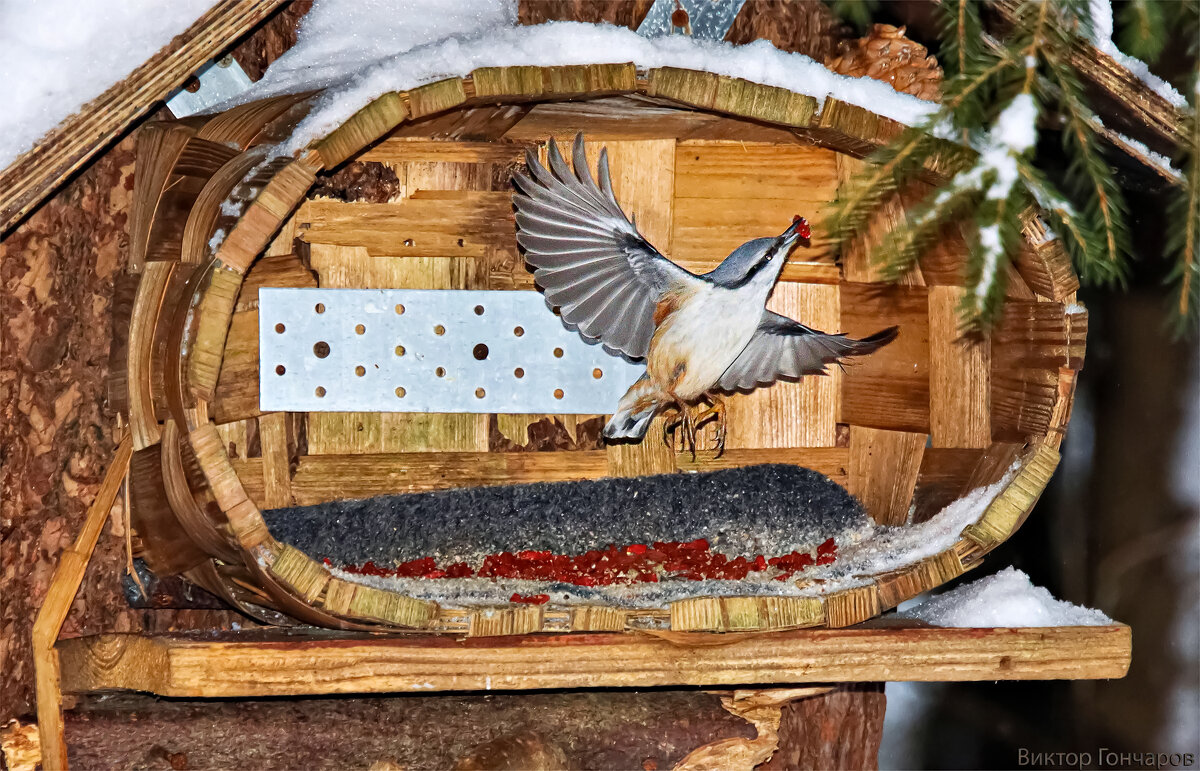 взлёт,Поползень - Laryan1 