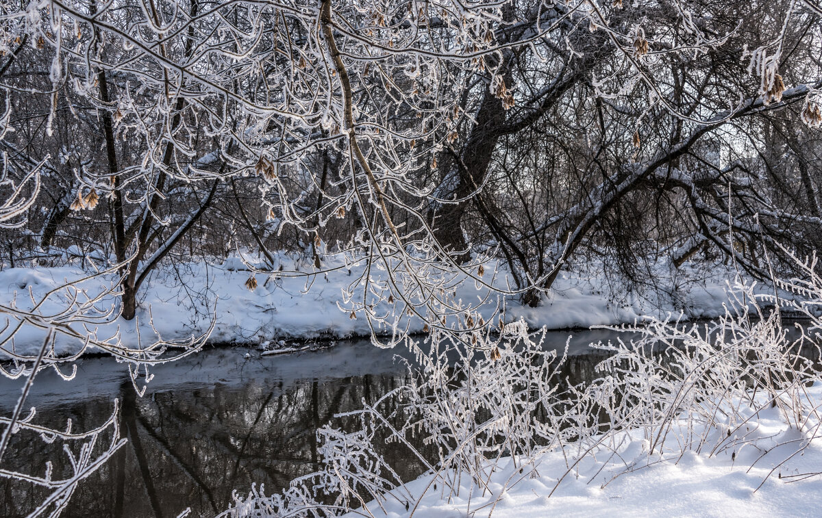 *** - Владимир Безбородов