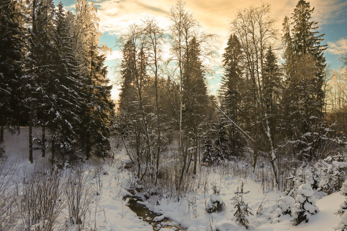 Вартемяги - skijumper Иванов